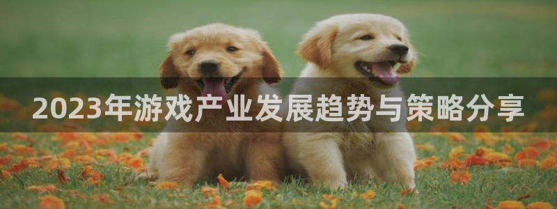 极悦娱乐平台登陆：2023年游戏产业发展趋势与策略分享