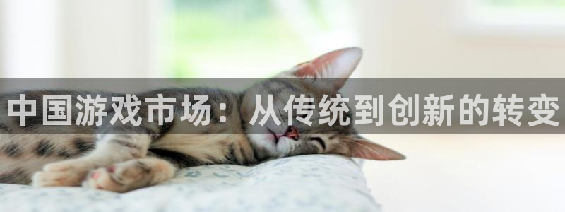 极悦娱乐的意思：中国游戏市场：从传统到创新的转变
