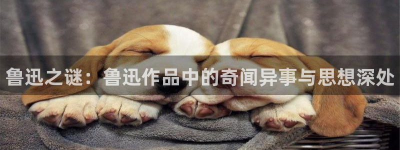 极悦娱乐平台官网客服电话：鲁迅之谜：鲁迅作品中的奇闻异事与思