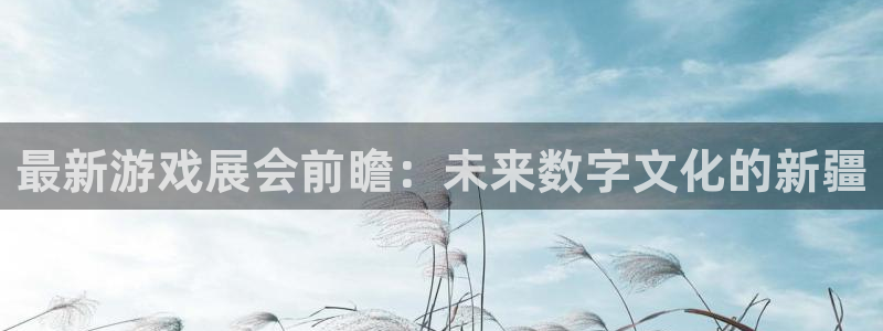 极悦娱乐的意思：最新游戏展会前瞻：未来数字文化的新疆