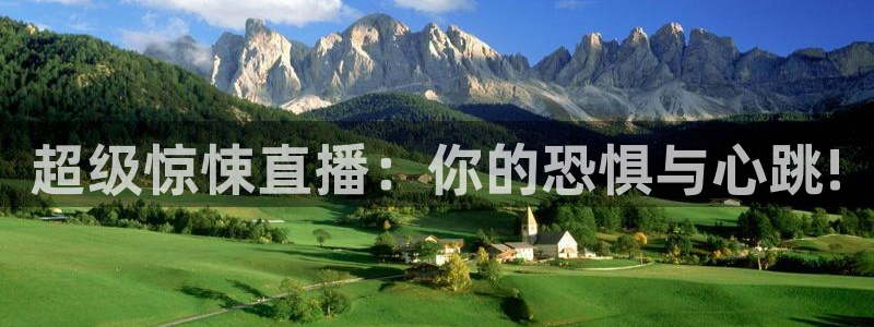 说球帝官网下载