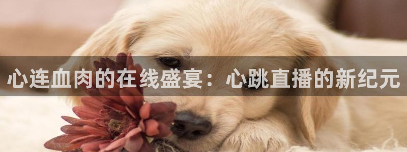 nba视频直播说球帝：心连血肉的在线盛宴：心跳直播的新纪元